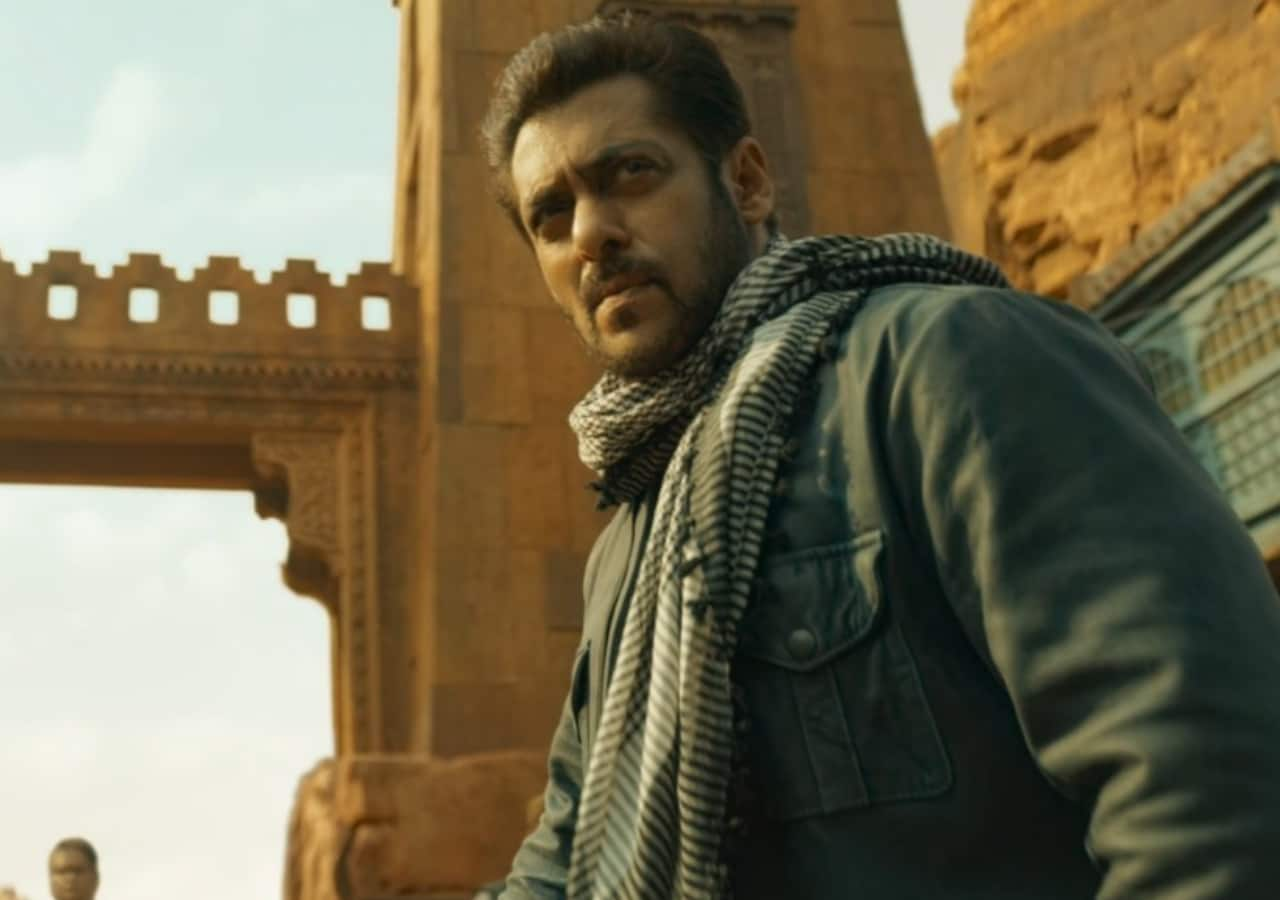 Tiger 3 Teaser: Did You Spot Shah Rukh Khan Aka Pathaan In Salman Khan ...