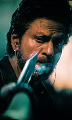 Loved Shah Rukh Khan in Jawan? Here are Top 10 Indian stars who win the box office with their swag