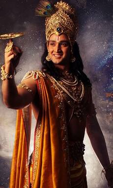Janmashthami 2023: Mahabharat, RadhaKrishn and more TV shows that explain the story of Lord Krishna