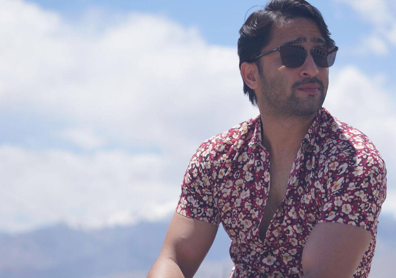 Shaheer Sheikh
