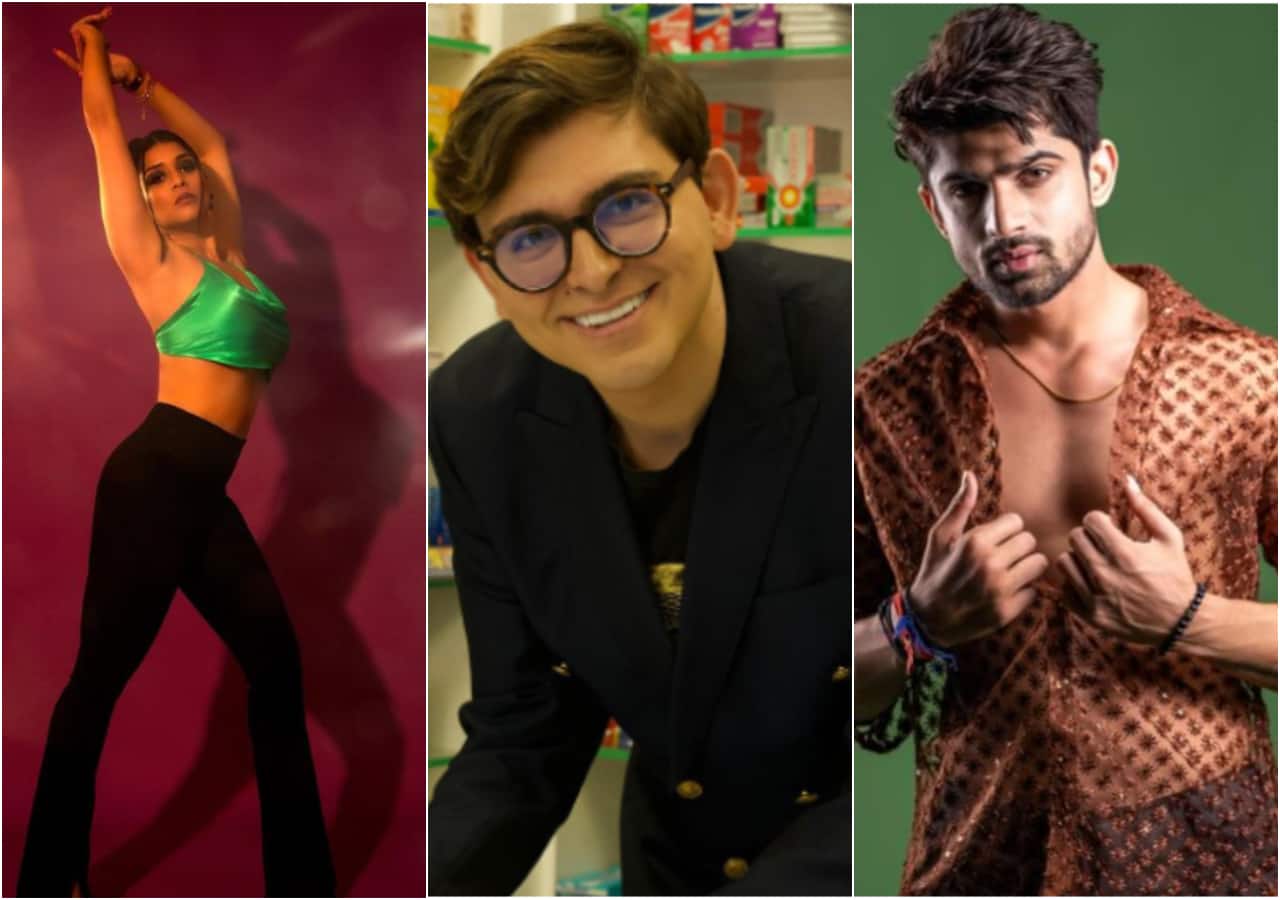 Bigg Boss 17 first elimination: THIS contestant have the highest risk of being evicted? - Vimarsana News
