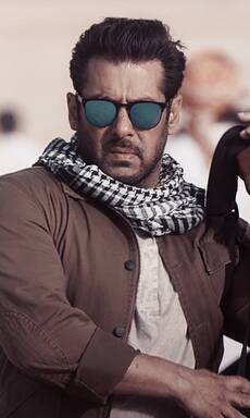 Ahead of Tiger 3 here are top highlights of all that happened in Ek Tha Tiger and Tiger Zinda Hai