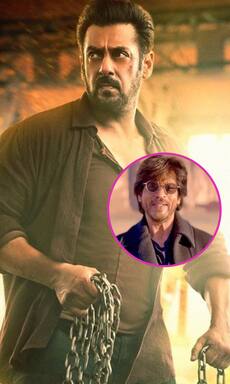 Tiger 3: Shah Rukh Khan's Dunki teaser to be attached; advance bookings for Salman Khan, Katrina Kaif new movie to open on THIS date  