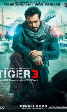 Loved Tiger 3? Watch these spy thrillers similar to Salman Khan’s film on Netflix and more OTT