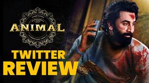 Animal Trailer Twitter Review: Ranbir Kapoor के अपने रोल से किया लोगों को इम्प्रेस, फैंस ने कहा मूवी को ब्लॉकबस्टर