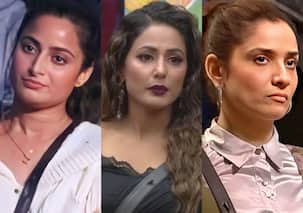 Bigg Boss 17: The 'most ladaaku' celebs ever crossed all limits in their fights with fellow contestants