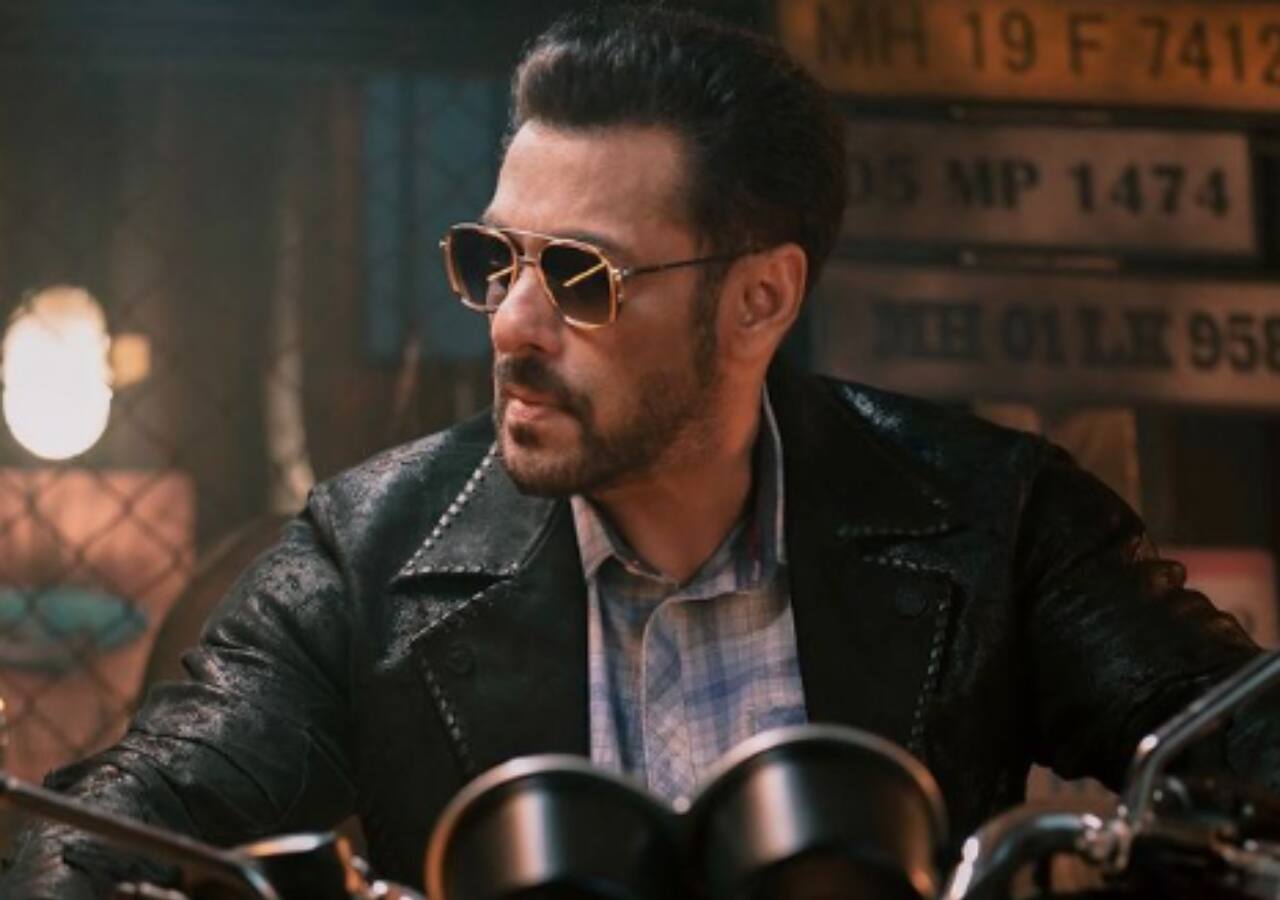 The Bull: Salman Khan, Vishnuvardhan's film gets a title; here's what you need to know about it
