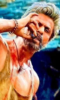 Jawan, Tiger 3 and more: Top films with highest single day collection in history of Bollywood