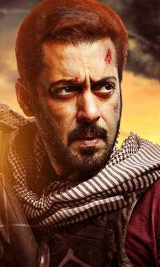 Tiger 3 adds another Rs 100 crore feather to Salman Khan's already adorned cap, check list 