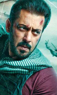 Tiger 3 vs Pathaan vs War box office: Check day 3 collections of Salman Khan, Shah Rukh Khan, Hrithik Roshan's spy films 