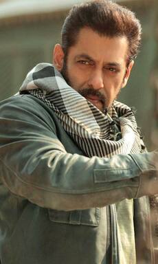 सलमान खान की 'टाइगर 3' ने 2 दिन में कमा लिए 100 करोड़