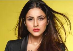 Top 5 best concealers for flawless makeup look like Shehnaaz Gill