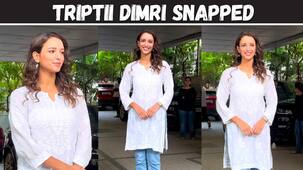 Animal fame Triptii Dimri's simple look takes the internet by storm [Watch Video]