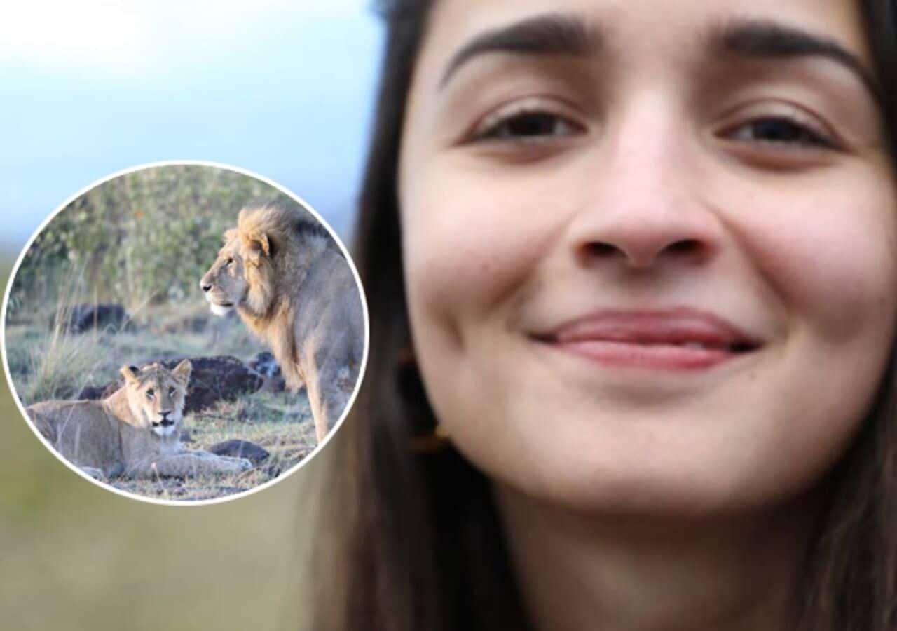 Alia Bhatt love safaris