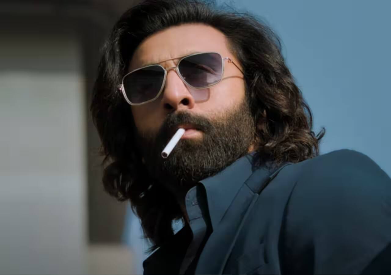 Petition against Animal on OTT: Top 10 movies, web series that inspired real life crimes - Vimarsana News