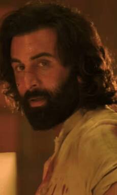 Animal, Jawan and more Top films that entered Rs 500 crore club in record time