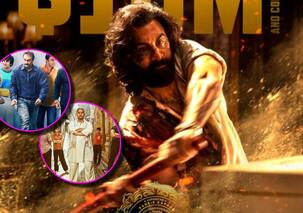 Animal: रणबीर कपूर की 'एनिमल' ने तोड़ा संजू का रिकॉर्ड, खतरे में आई 'दंगल' की जान