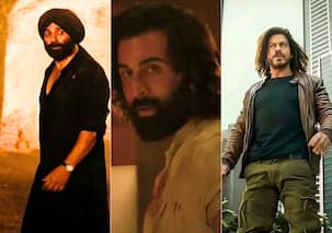 Animal Box Office Day 2 WW: 'एनिमल' ने दूसरे दिन 'गदर 2' को किया चित्त, 'पठान' से भी आगे निकले रणबीर कपूर