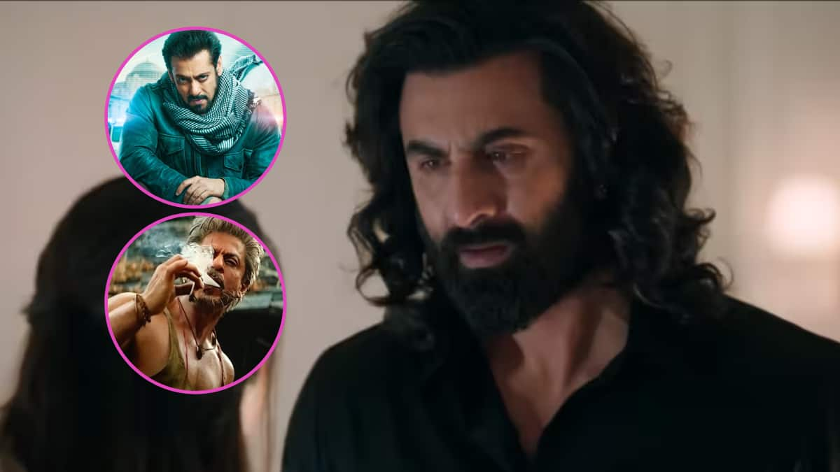 Animal Box Office Collection: Ranbir Kapoor Starrer Beats Jawan, Tiger ...