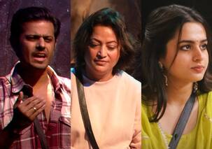 Bigg Boss 17 Exclusive: Neil Bhatt, Ayesha Khan or Rinku Dhawan; here's who fans want eliminated next — View poll results