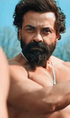 Before Animal Park, Top 10 Bollywood films that played on the Hindu-Muslim angle