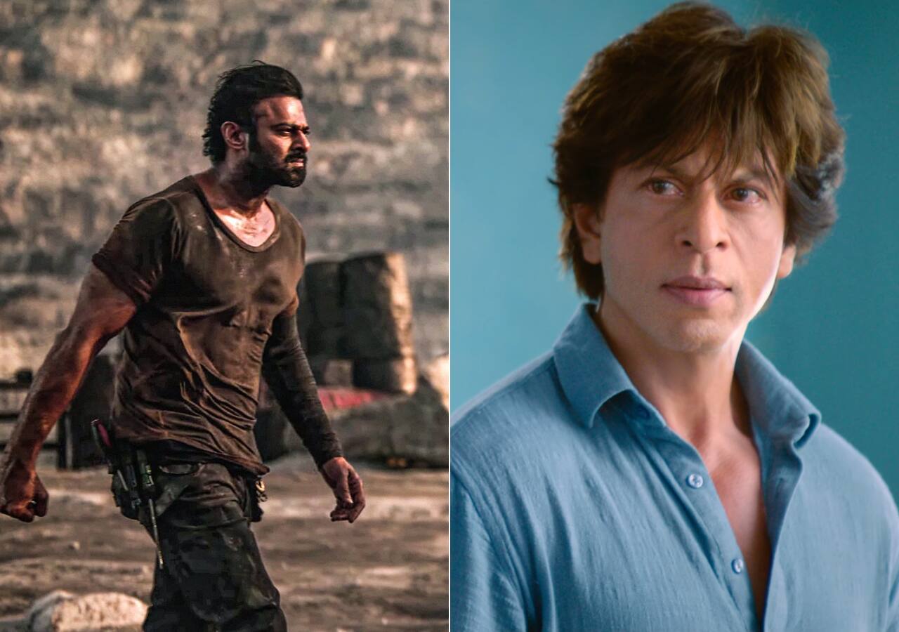 Shah Rukh Khan Dunki Created A Stir At The Hindi Box Office Prabhas S Salaar Not Perform Good