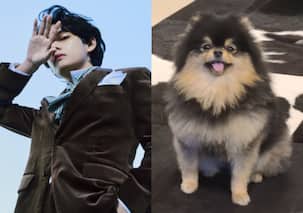 Yeontan Of BTS leaves ARMY in splits! Here's why Kim Taehyung's beloved pooch is making news in his absence