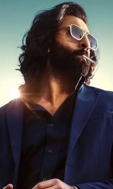 Ranbir Kapoor starrer Animal and more movies inspired by The Godfather on OTT, YouTube 