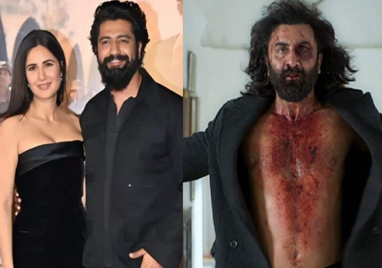 Katrina Kaif supports Vicky Kaushal in the clash with Ranbir Kapoor’s Animal; hails his performance
