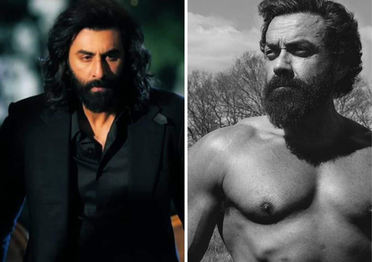 What went into Bobby Deol's bulked-up transformation in Animal