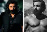 Animal stars Ranbir Kapoor, Bobby Deol and other Bollywood actors are turning hotter, more suave with age