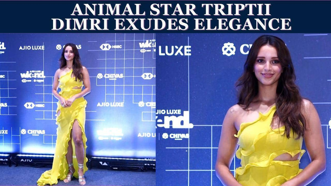 Animal star Triptii Dimri's jaw-dropping look leaves fans in awe [Video]