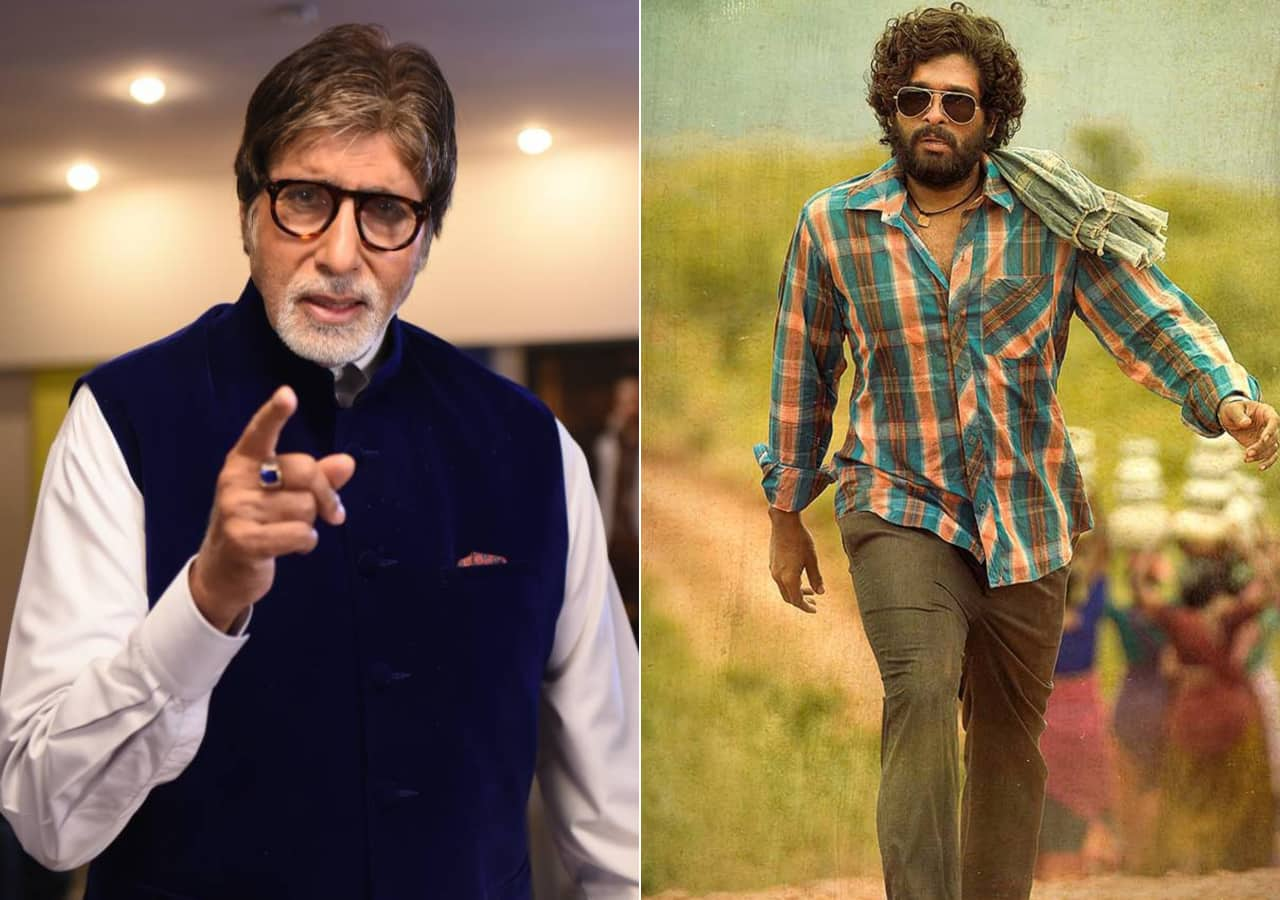 Amitabh Bachchan expressed his opinion on South vs Bollywood, said that ...