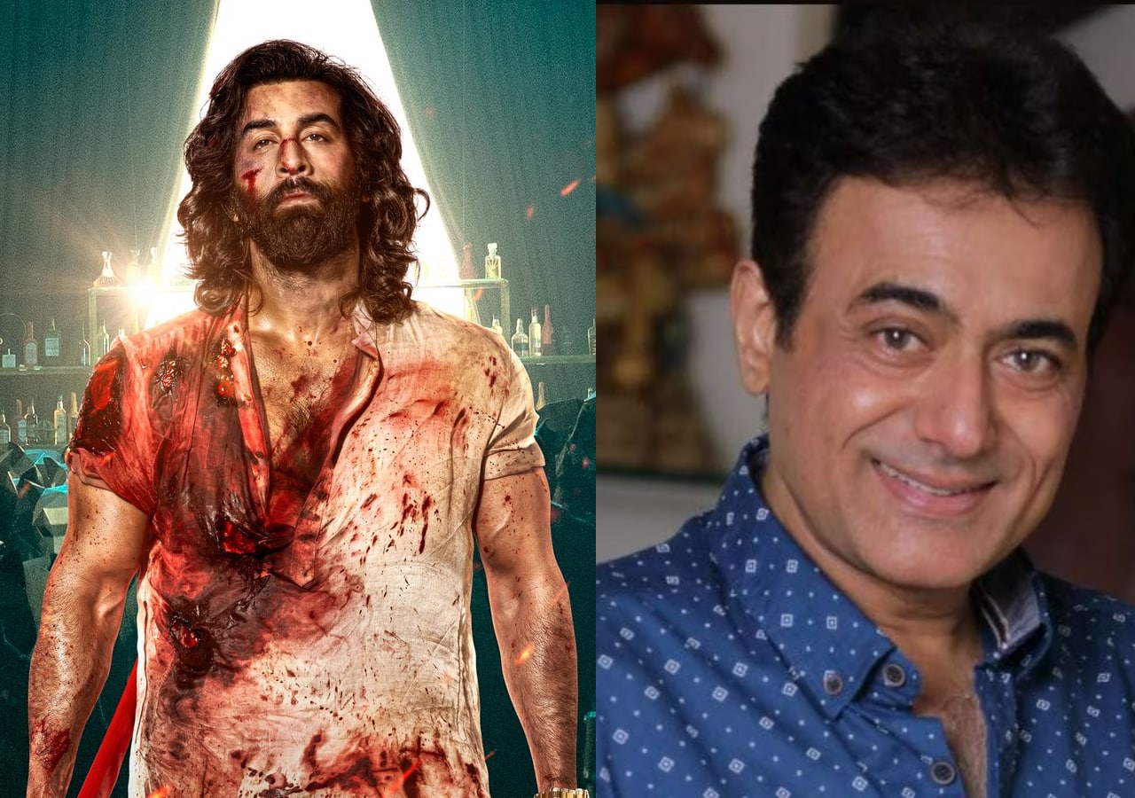 Animal: Mahabharat's Krishna aka Nitesh Bhardwaj slams Ranbir Kapoor