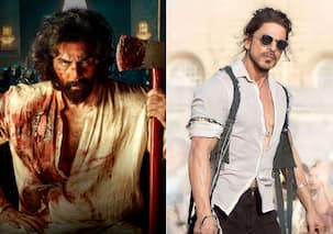 'एनिमल' की दहाड़ से थर्राए 'पठान', रणबीर कपूर ने 31वें दिन तोड़ा शाहरुख खान की फिल्म का रिकॉर्ड