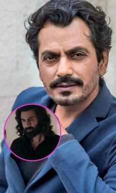 Nawazuddin Siddiqui, Javed Akhtar and other celebs who hated Animal 