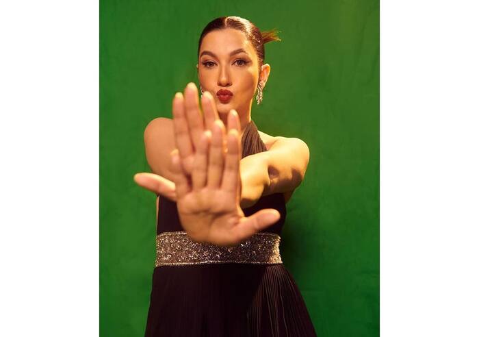 Gauahar Khan opens up on post-pregnancy journey