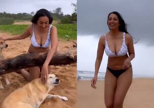 51 साल की उम्र में कश्मीरा शाह ने बिकिनी में दिखाया बोल्ड अवतार, वीडियो देख ट्रोल्स बोले- 'बी ग्रेड एक्ट्रेस'