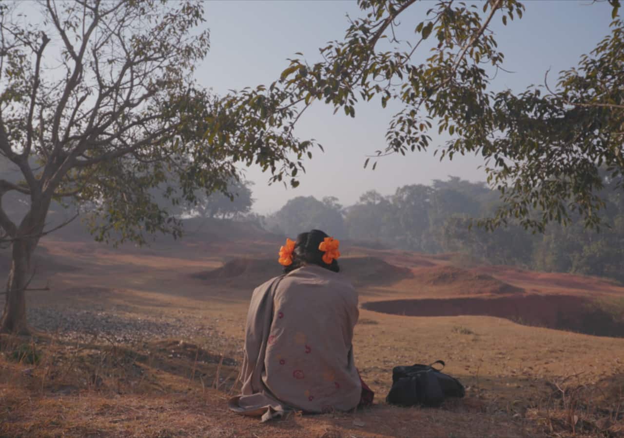 Oscars 2024 Nominations: Documentary To Kill a Tiger on violence against women in India gets a nod at the Academy
