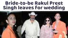 bollywoodlife.com top news