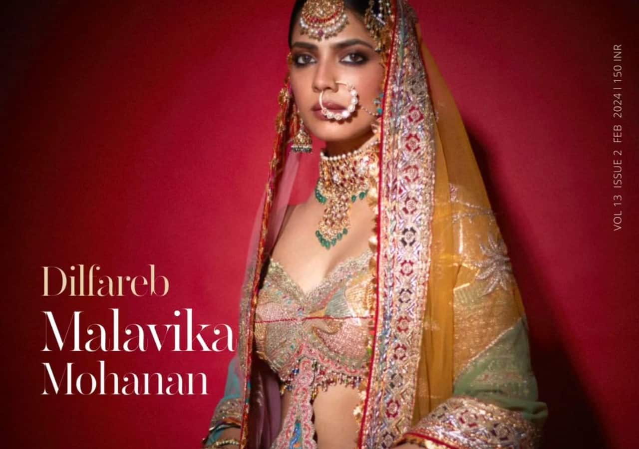 bollywoodlife.com photo