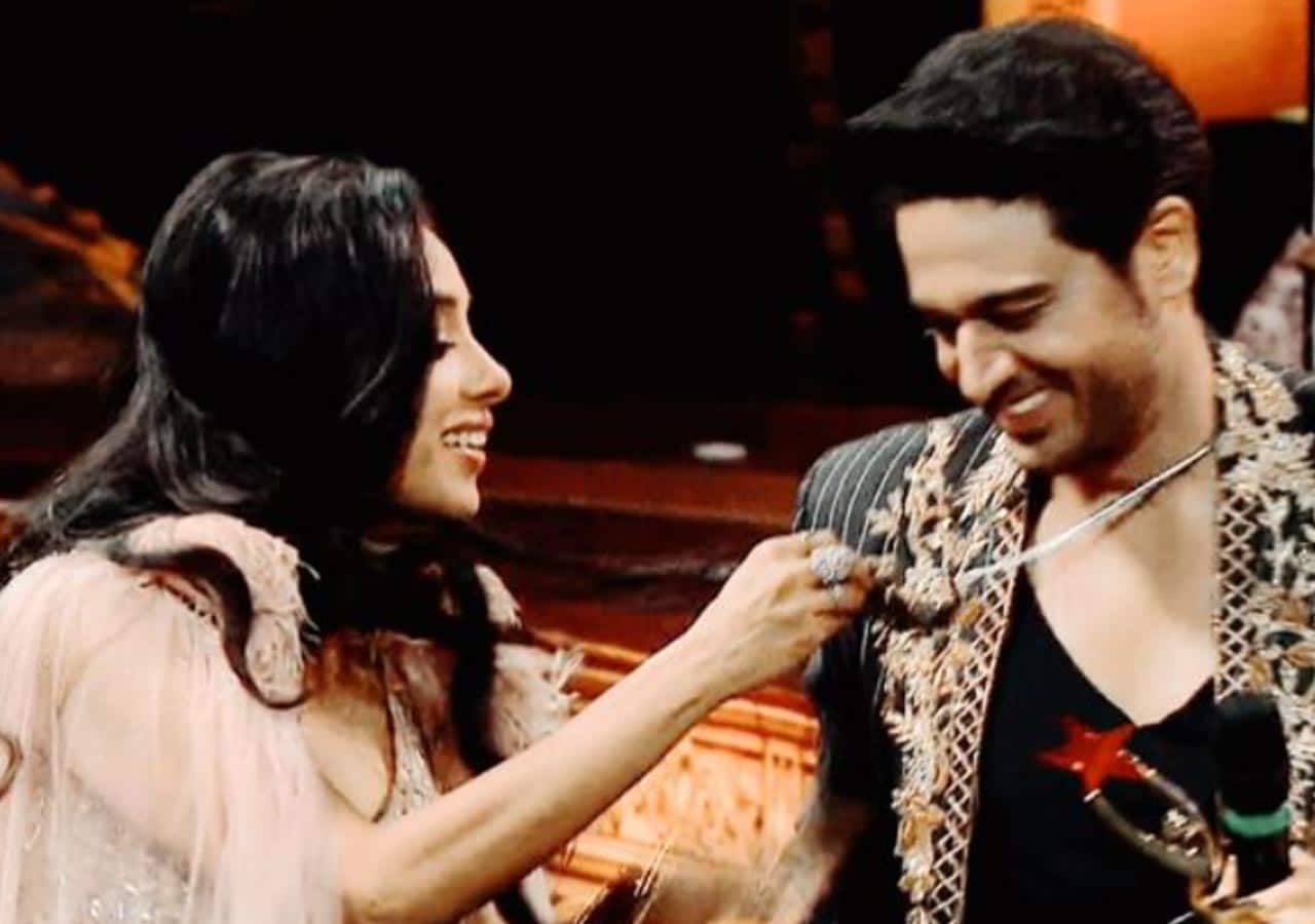 Anupamaa: Rupali Ganguly and Gaurav Khanna have stopped expressing their admiration for each other?