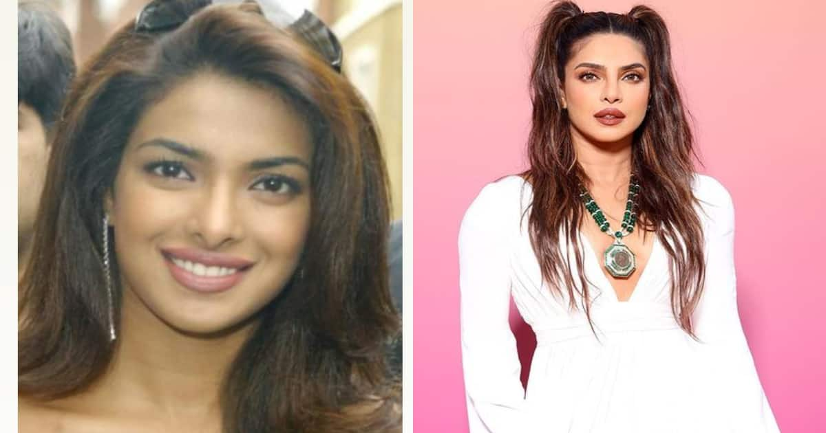 Priyanka Chopra Shares Pics From Modelling Days On Instagram; Check Her 