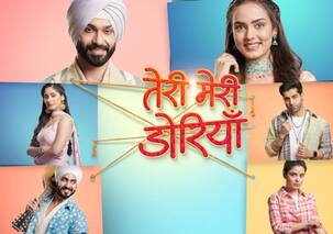 Teri Meri Doriyaann: This actor confirms his sudden exit from the show