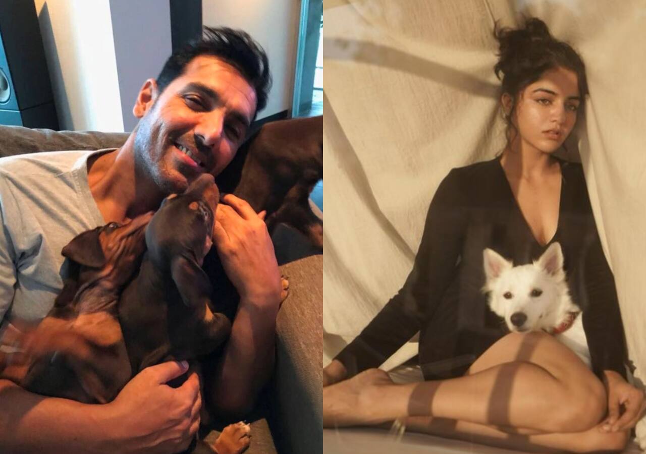 Indian celebs who believe in adoption and not shopping of pets