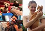 Aditya Roy Kapur, Randeep Hooda, Kalki Koechlin and other Bollywood stars who believe in adopting than buying exotic pets