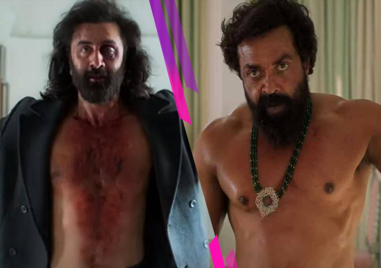 Animal dialogue writer defends Bobby Deol’s Muslim villain portrayal ...