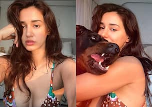 दिशा पाटनी ने बिकिनी पहन दिखाईं कातिलाना अदाएं, ट्रोल्स ने कहा- 'एक्टिंग पर भी ध्यान दो'