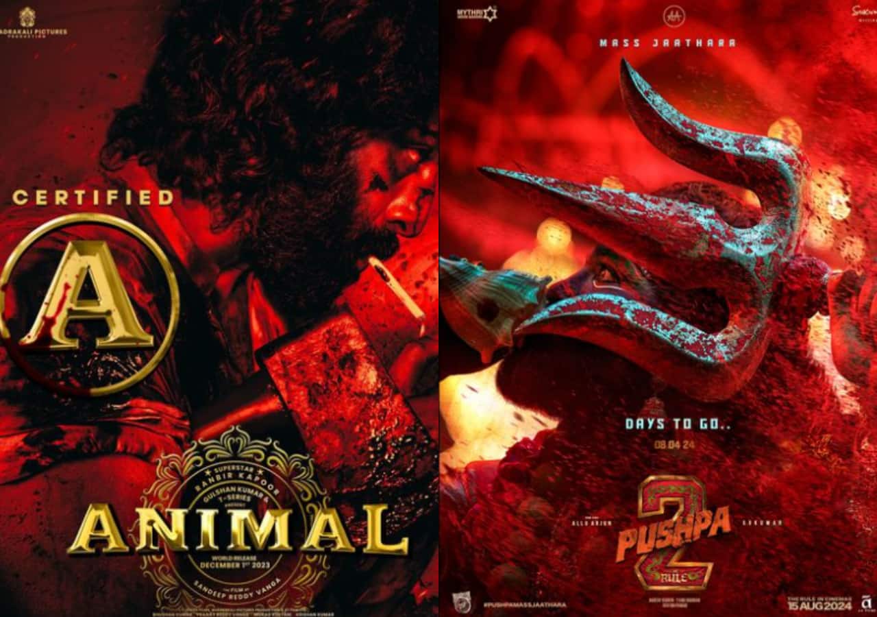 Pushpa 2 s’inspire d’Animal, le « facteur chance » de Jawan pour le succès au box-office du film ?