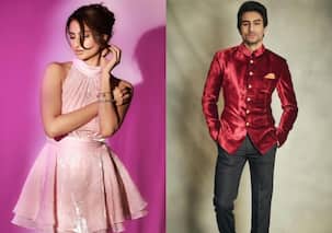 Did Ibrahim Ali Khan and Palak Tiwari vacation together in Goa along with Sara Ali Khan and Amrita Singh?